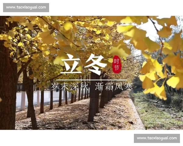 以大寒为中心探寻二十四节气中冬藏养生与岁时文化的智慧密码 以大寒为中心探寻二十四节气中冬藏养生与岁时文化的智慧密码