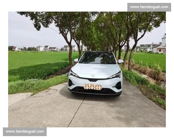 极狐探索未来出行新领域 打造智能生态助力绿色低碳发展 极狐探索未来出行新领域 打造智能生态助力绿色低碳发展